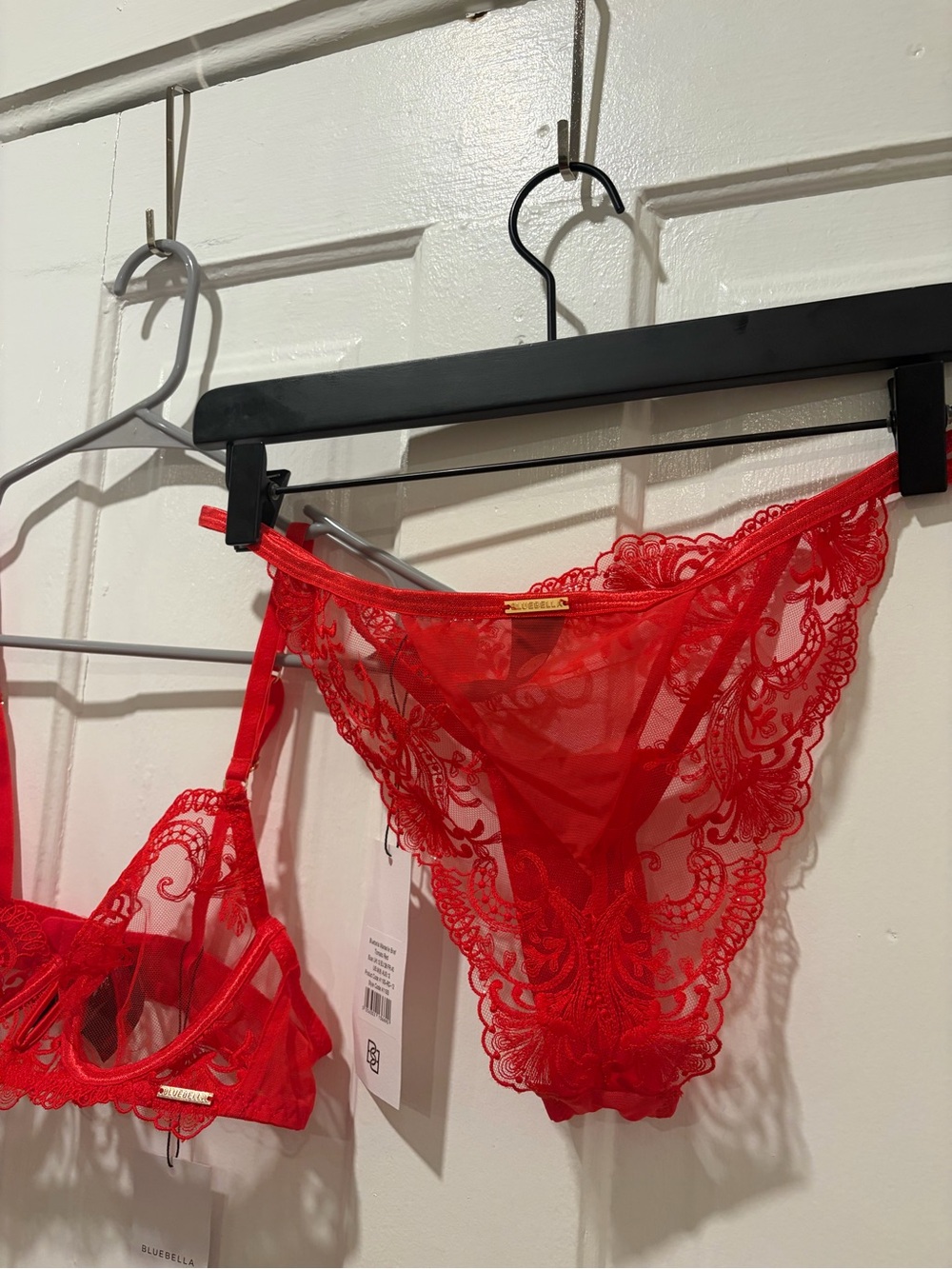 Bluebella Red Lace Sheer Bikini Panty and Bra with Floral Embroidery